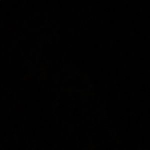 Meet your Posher, Rabia